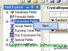 vb.net_crystal_report_string_parameter_2.GIF